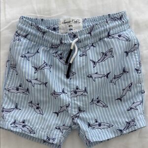 Baby swim trunks